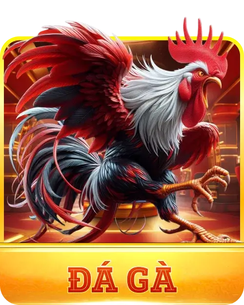 đá gà vm88