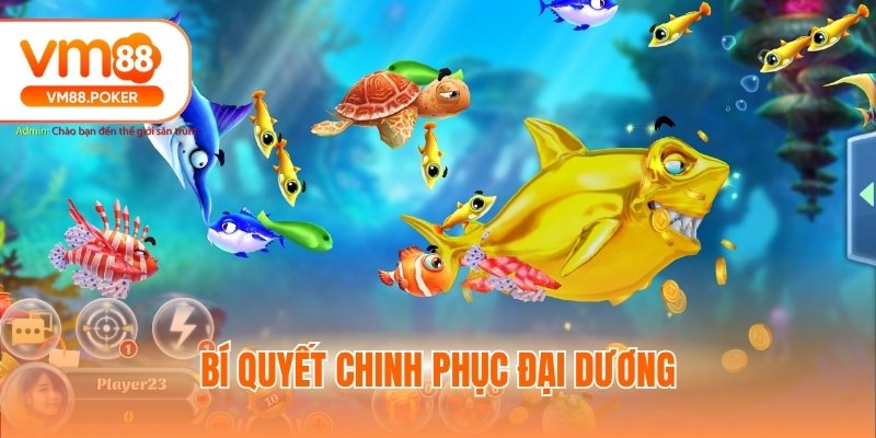 Bí quyết chinh phục đại dương