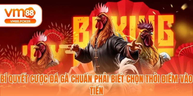 Bí quyết cược đá gà chuẩn phải biết chọn thời điểm vào tiền