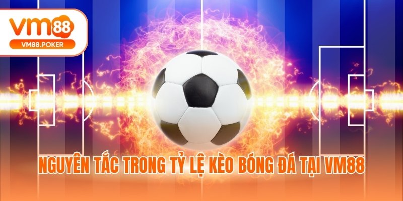 Nguyên tắc trong tỷ lệ kèo bóng đá tại VM88
